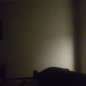 Meet your Posher, Roy